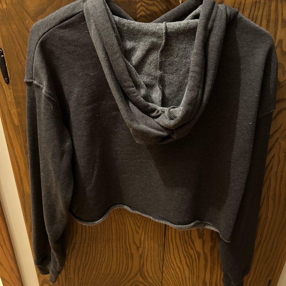 Rumble Cropped Hoodie Like NWOT - Picture 3 of 4